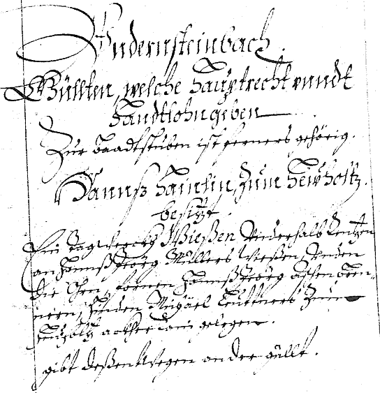 Eintrag im Schatzungsbuch von 1680 Bd 129 Folio 234